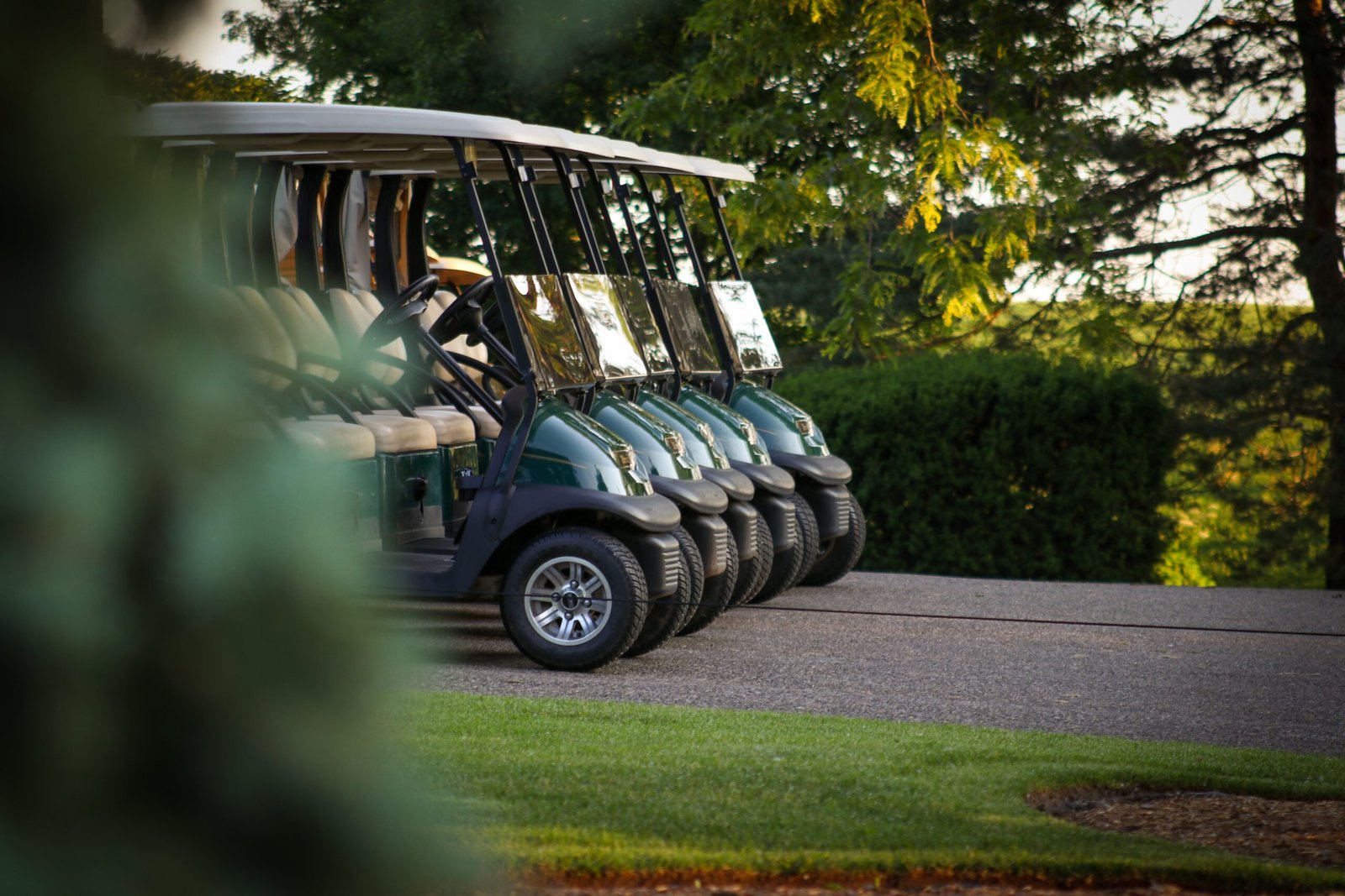 A Guide to Finding the Perfect Golf Cart Online